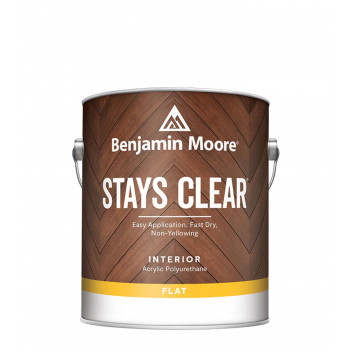 3.78L Benjamin Moore Stays Clear - Flat